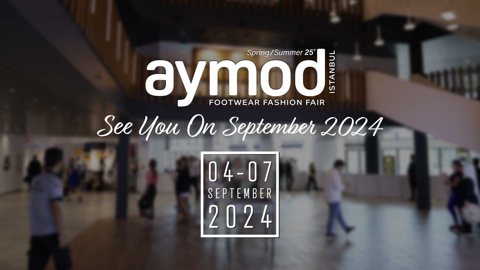 Web Banner 1